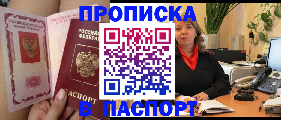 прописка поиск в Александровске